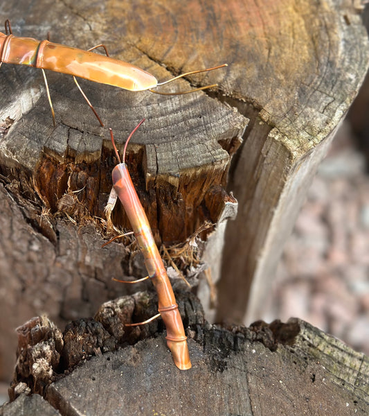 Pair of Copper Stick Insects