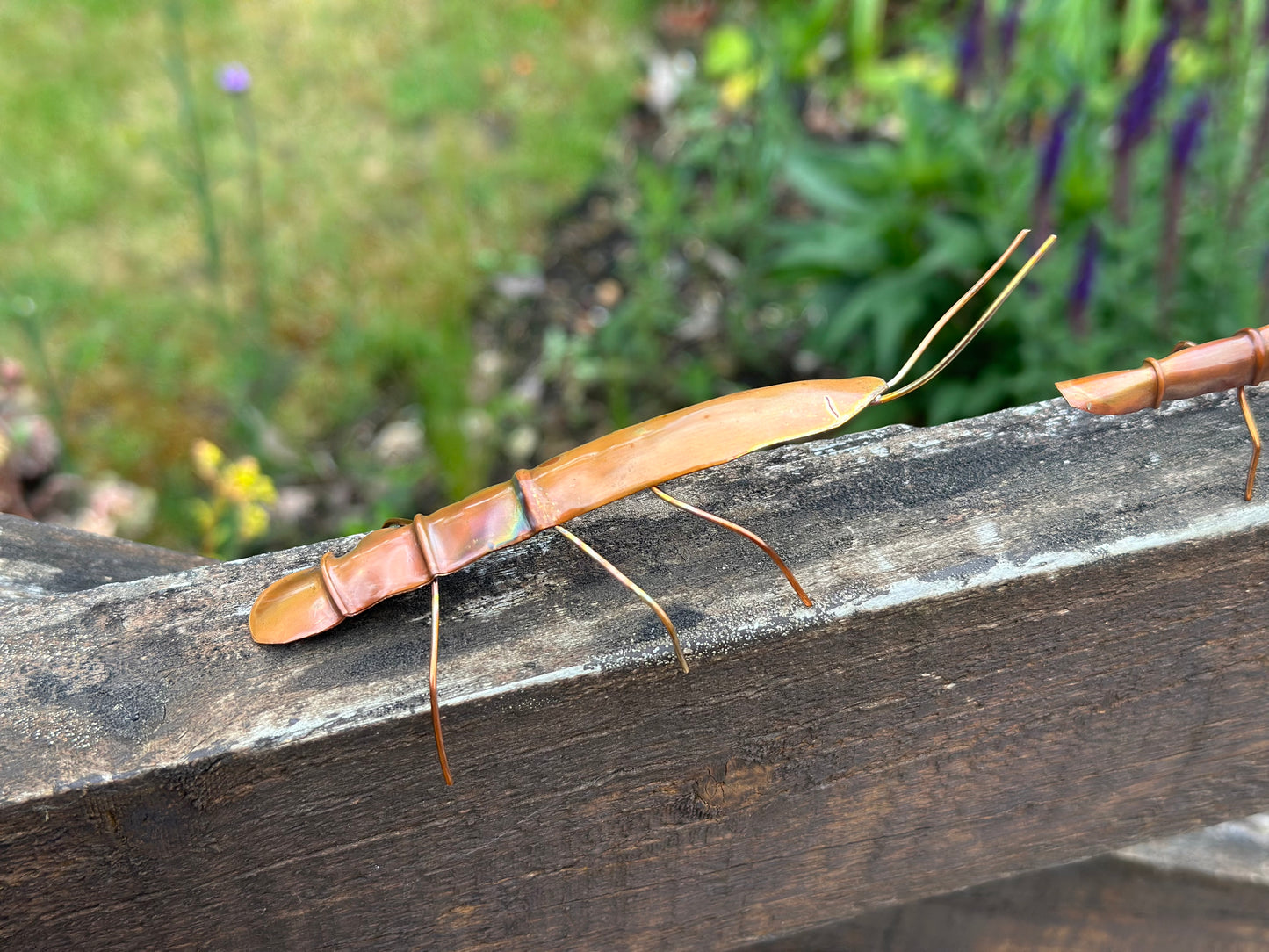 Copper Stick Insect
