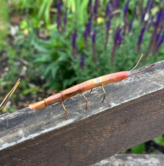 Copper Stick Insect