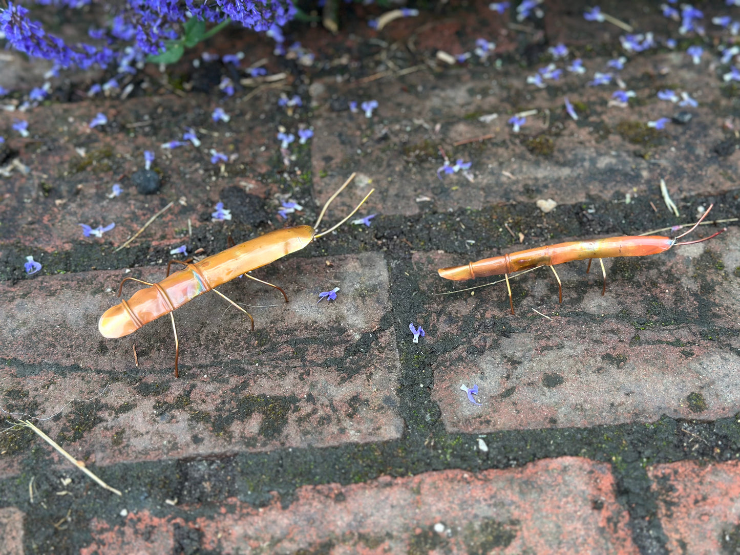 Pair of Copper Stick Insects