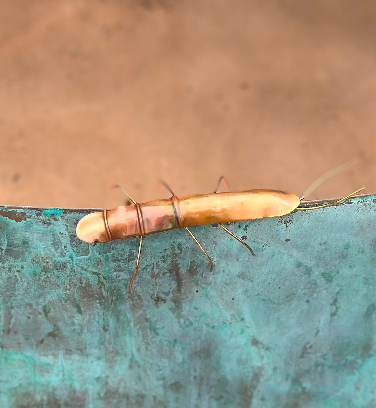 Copper Stick Insect