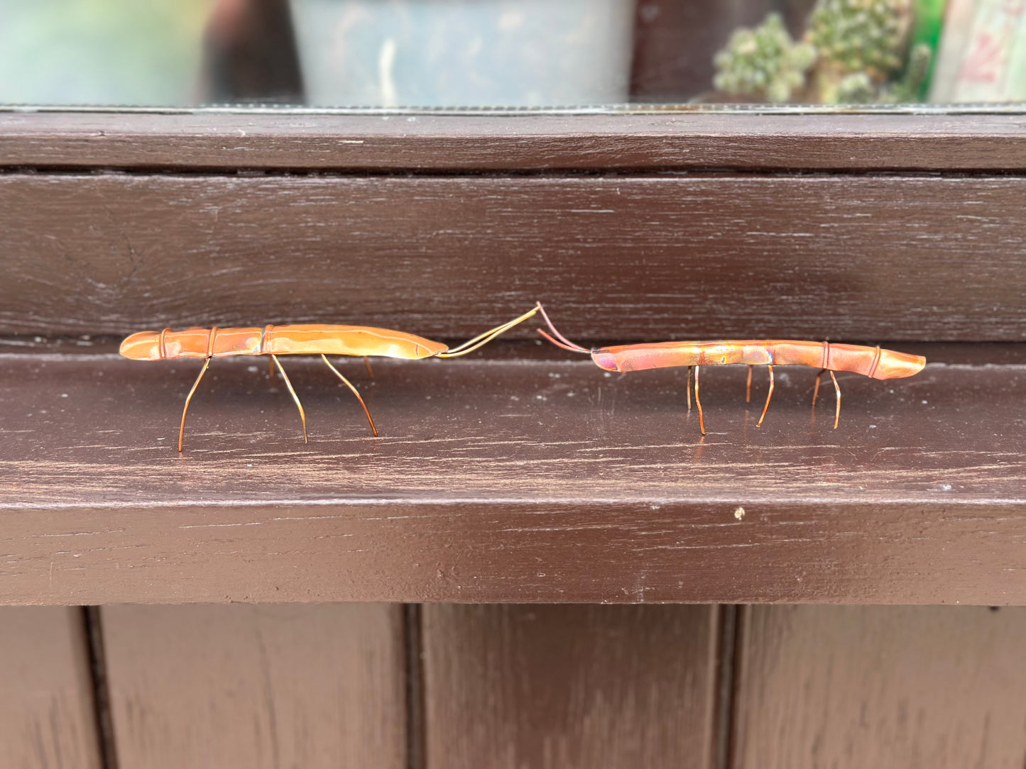 Pair of Copper Stick Insects