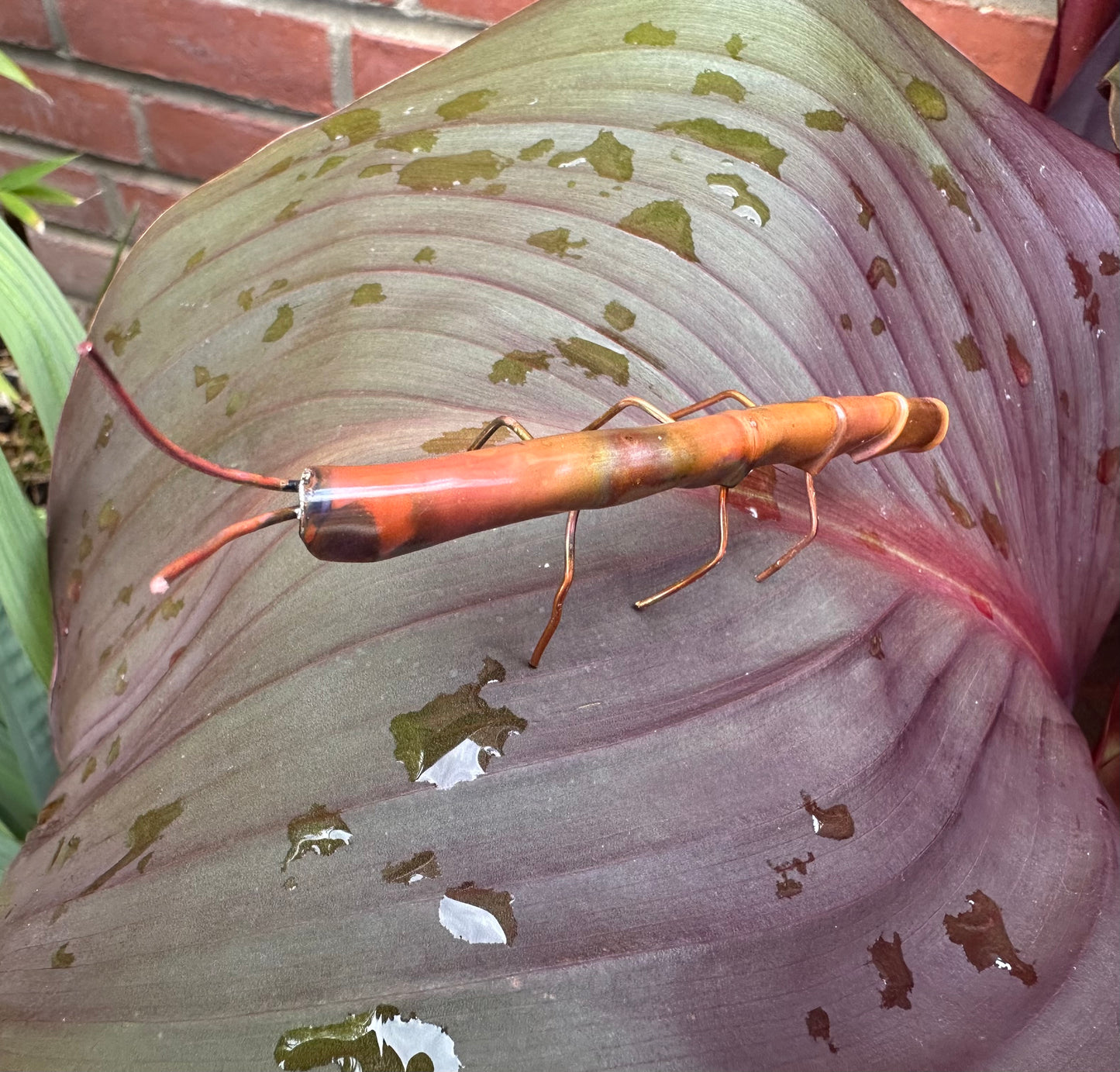 Copper Stick Insect