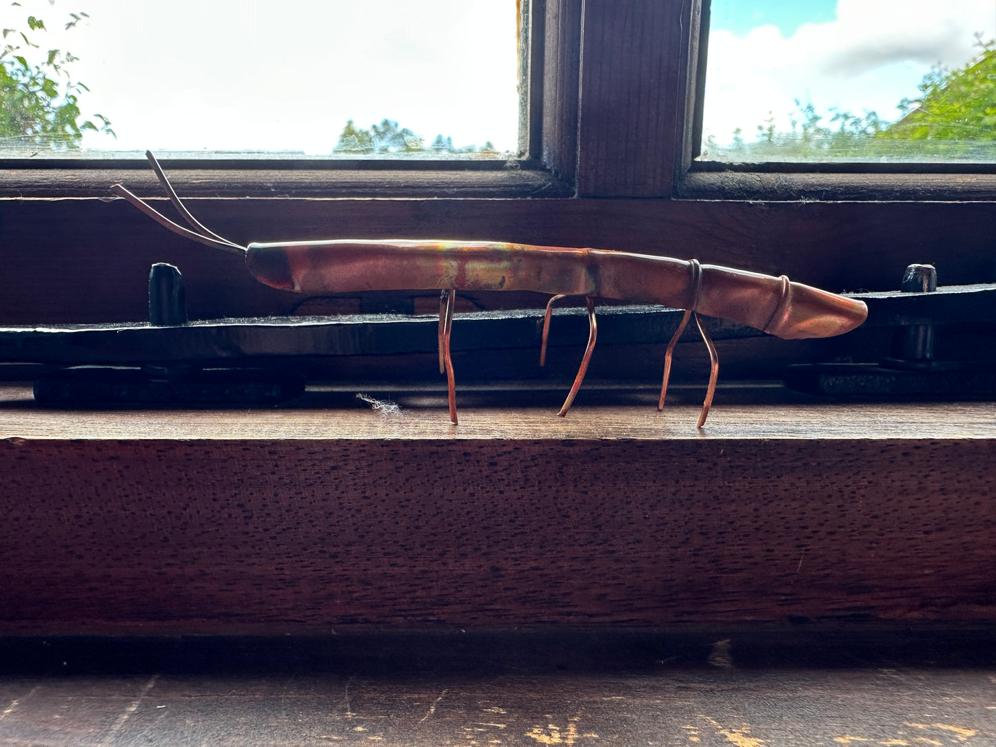 Copper Stick Insect