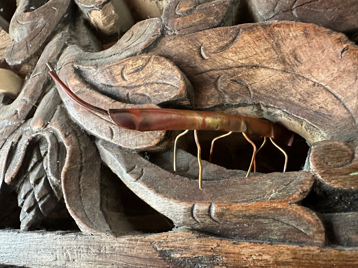 Copper Stick Insect