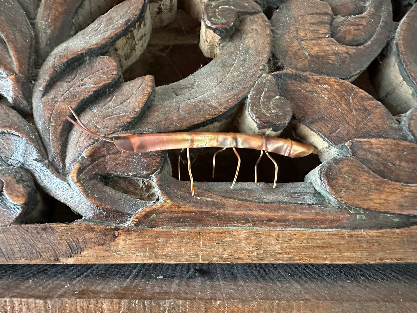 Copper Stick Insect
