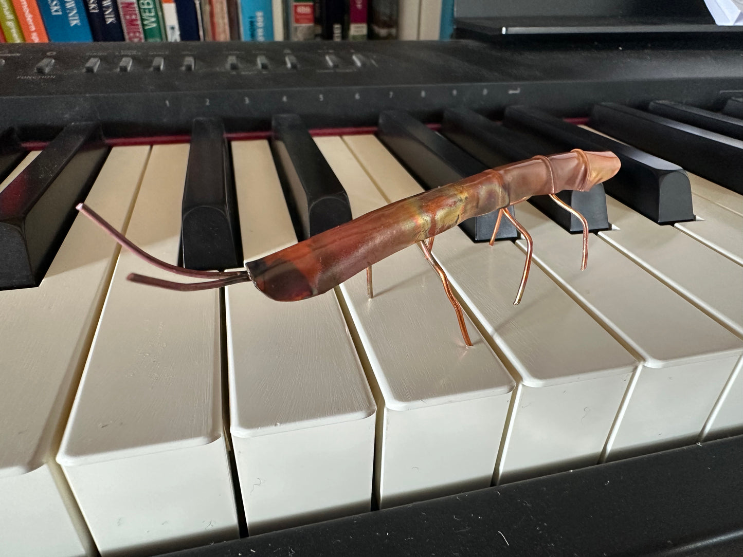 Copper Stick Insect