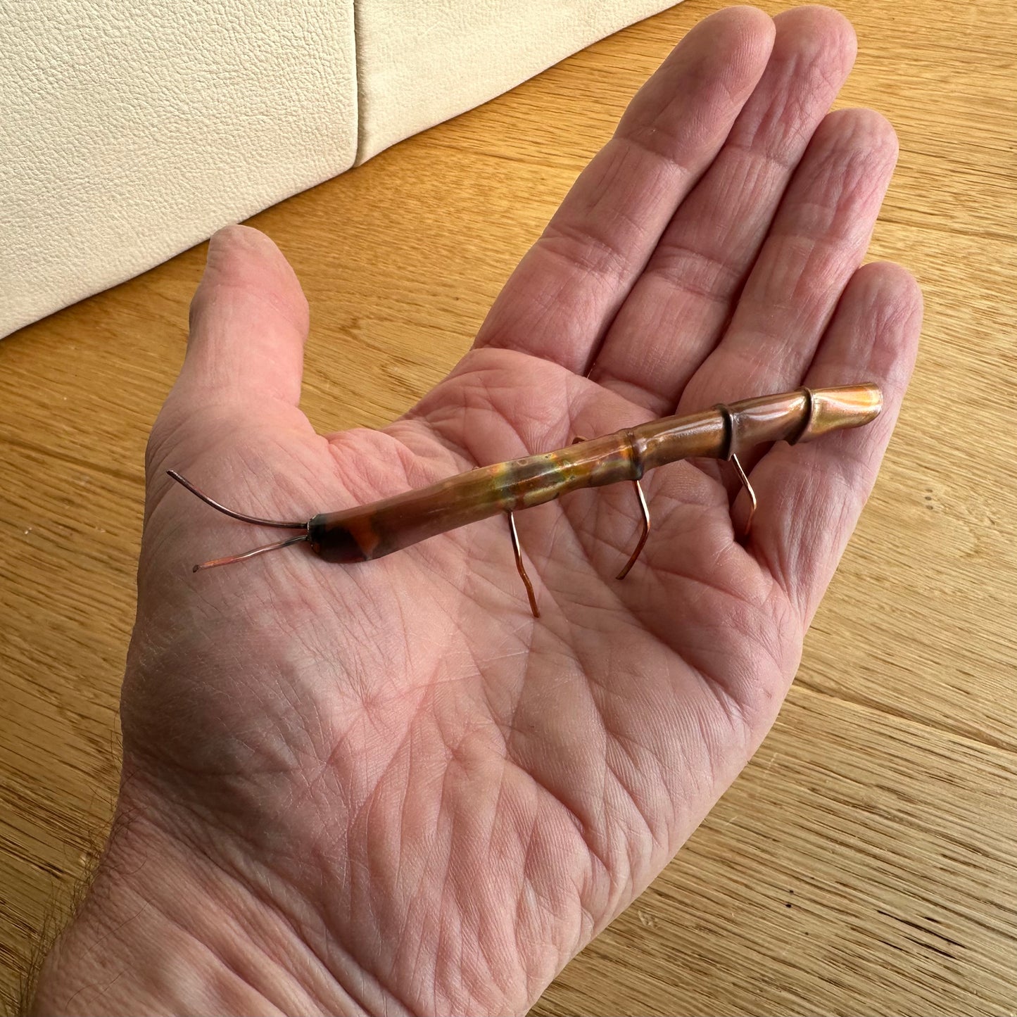 Copper Stick Insect