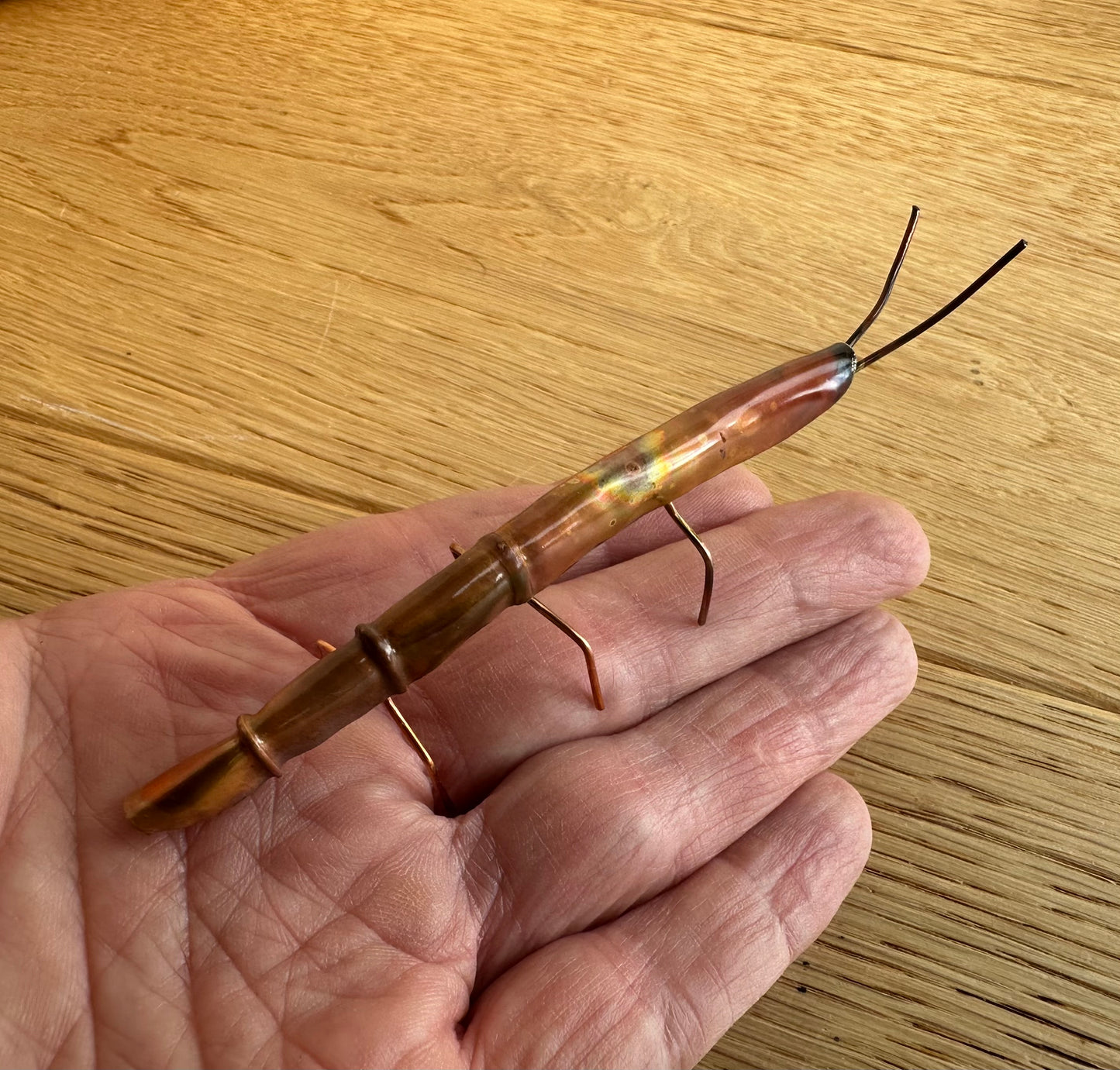 Copper Stick Insect