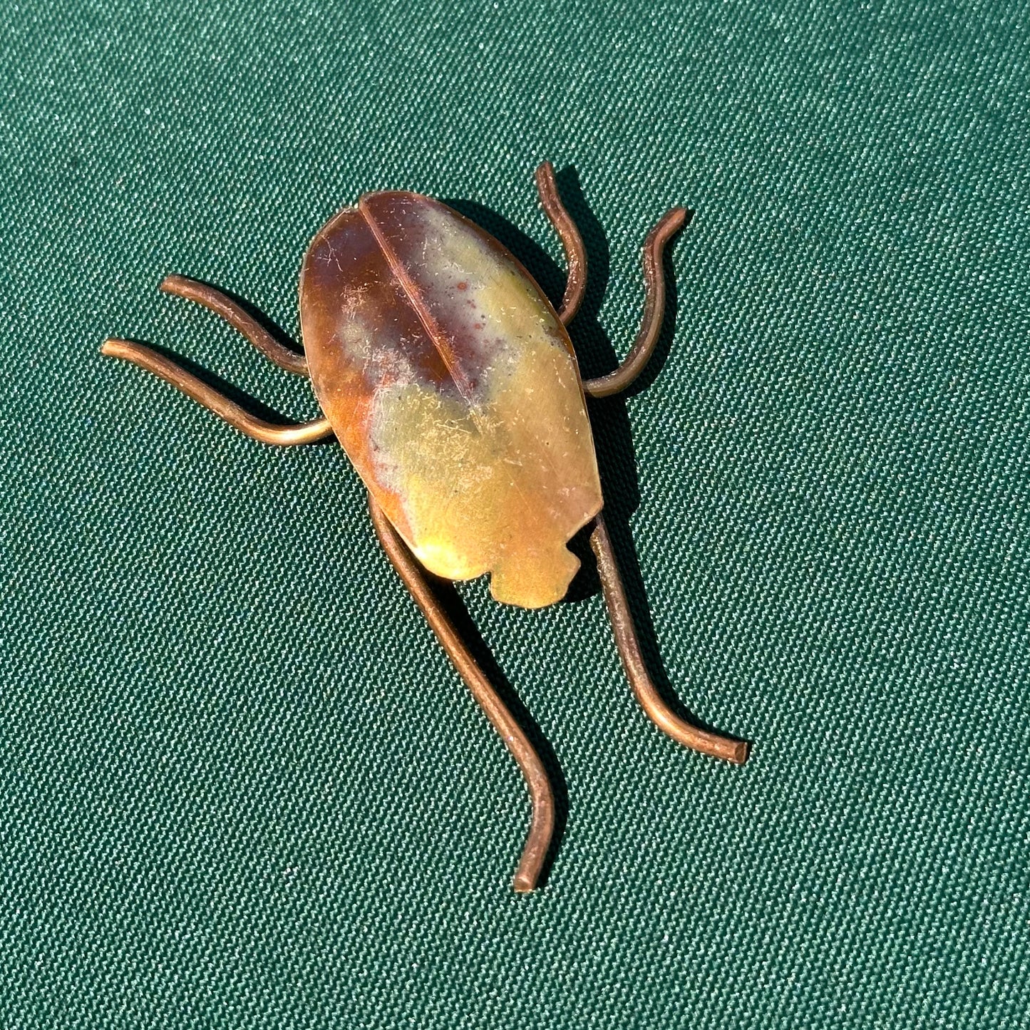 Copper Bugs and Beetles