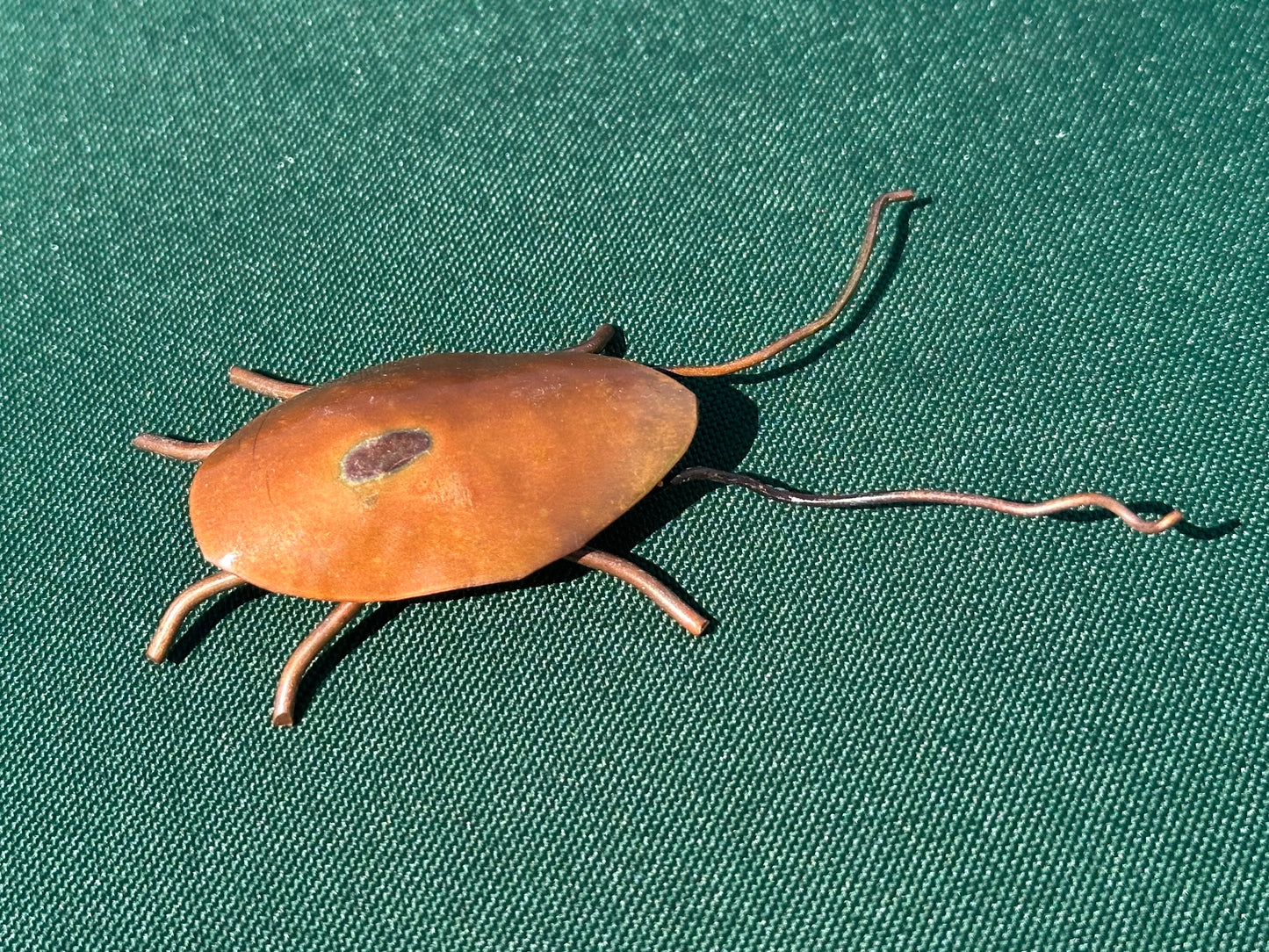Copper Bugs and Beetles