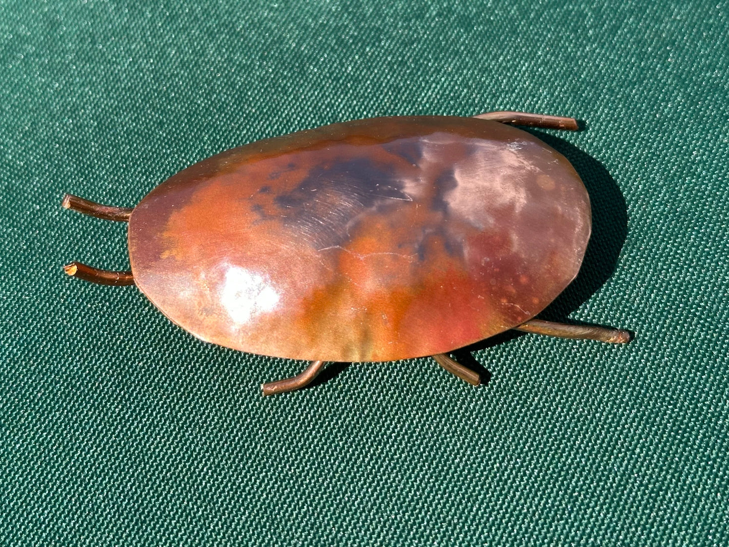 Copper Bugs and Beetles
