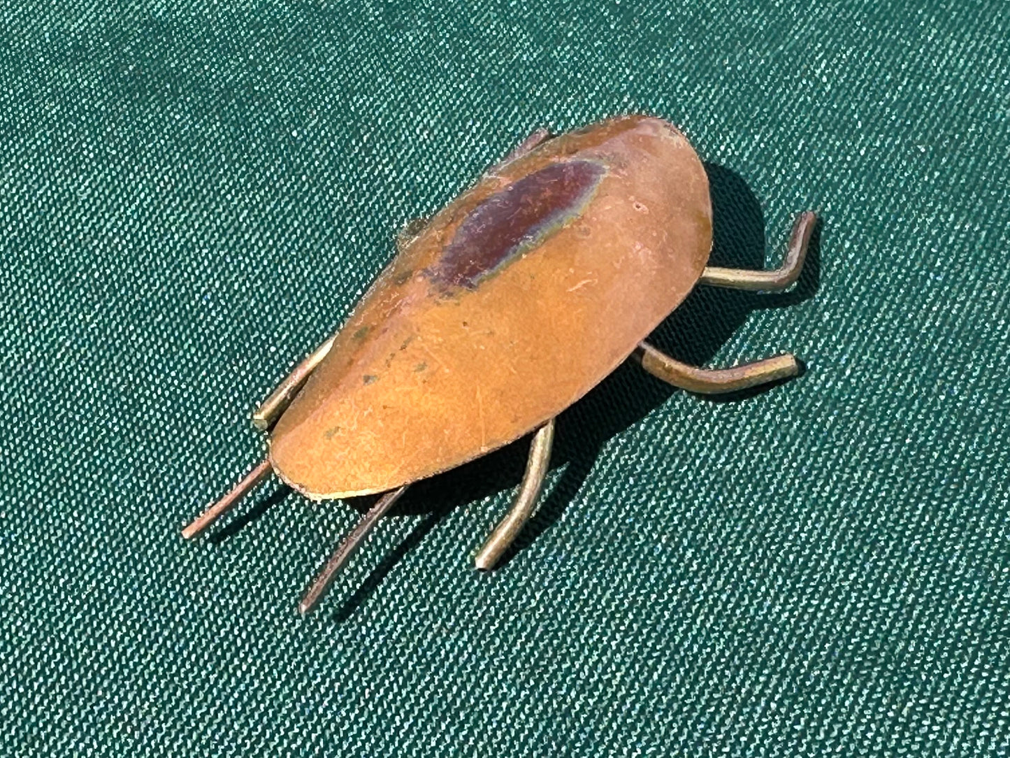 Copper Bugs and Beetles
