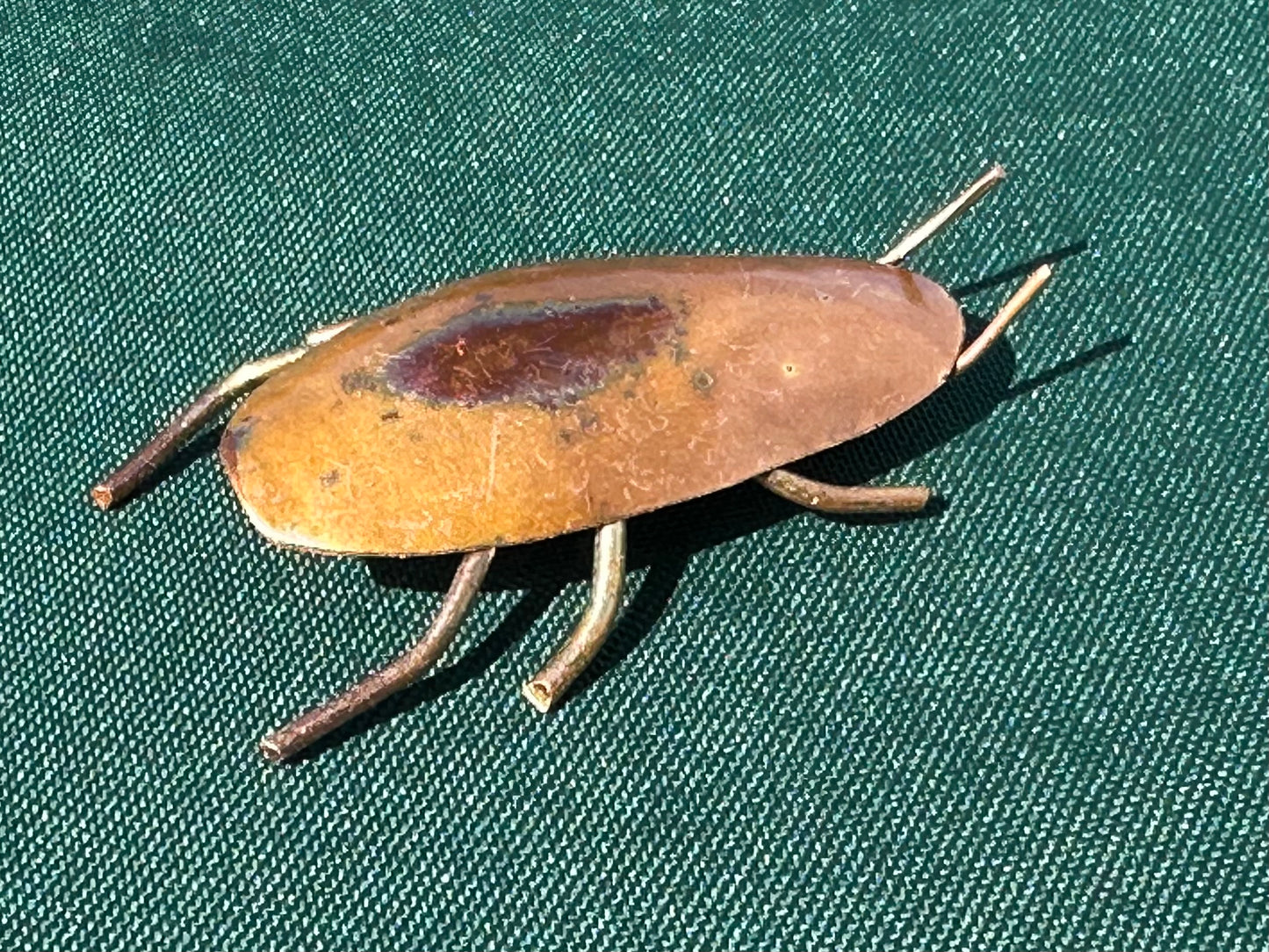 Copper Bugs and Beetles