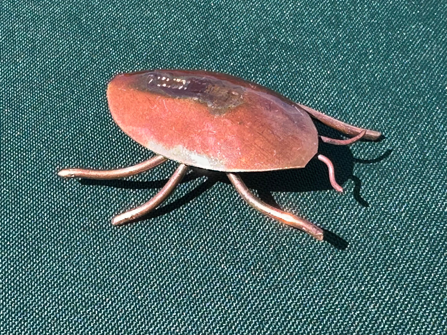 Copper Bugs and Beetles
