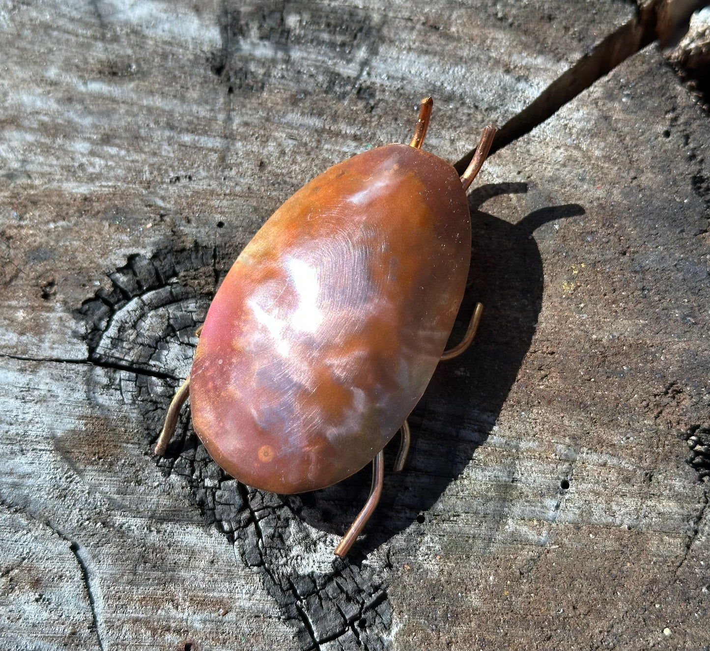 Copper Bugs and Beetles