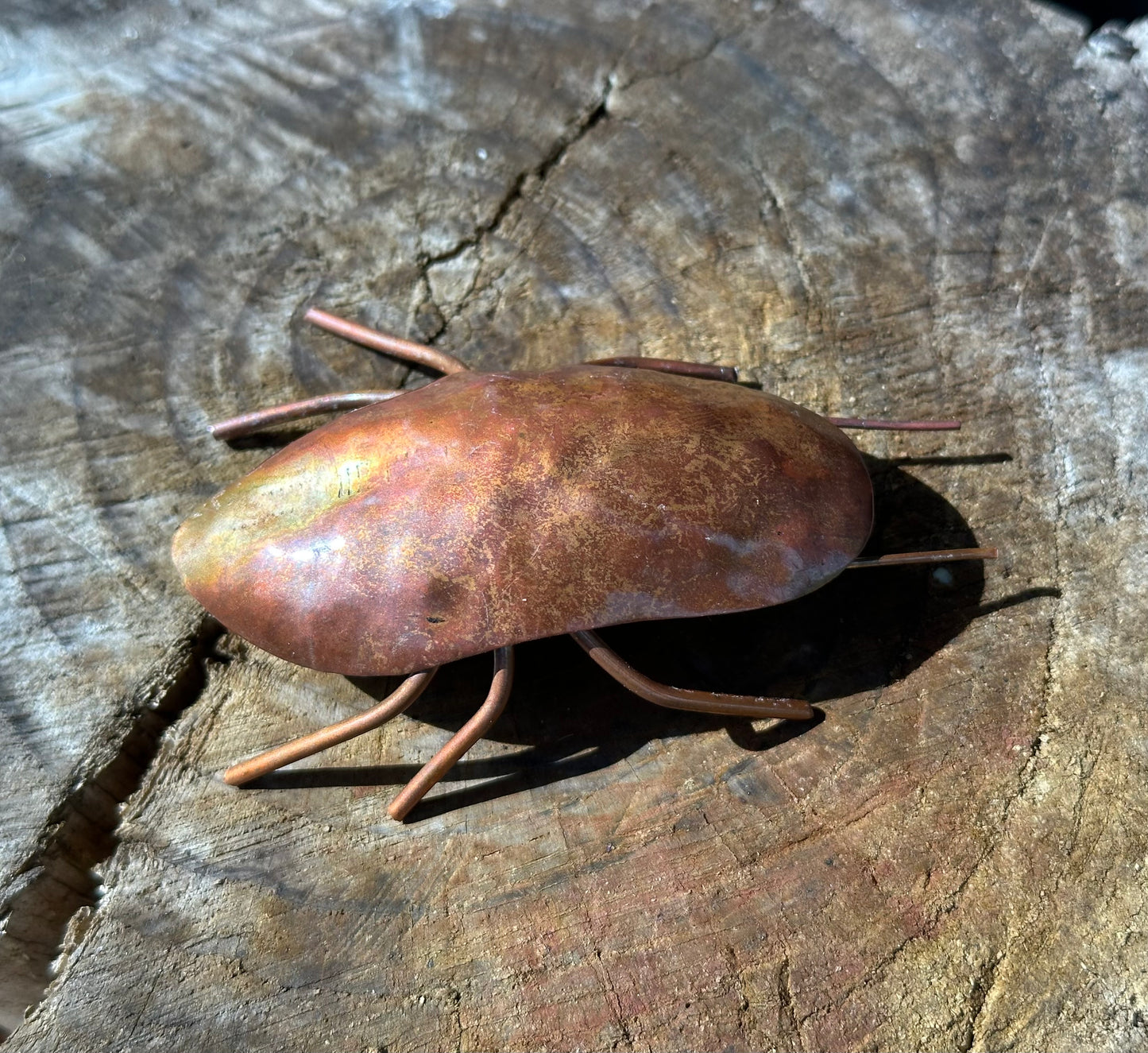 Copper Bugs and Beetles