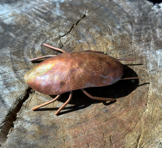 Copper Bugs and Beetles