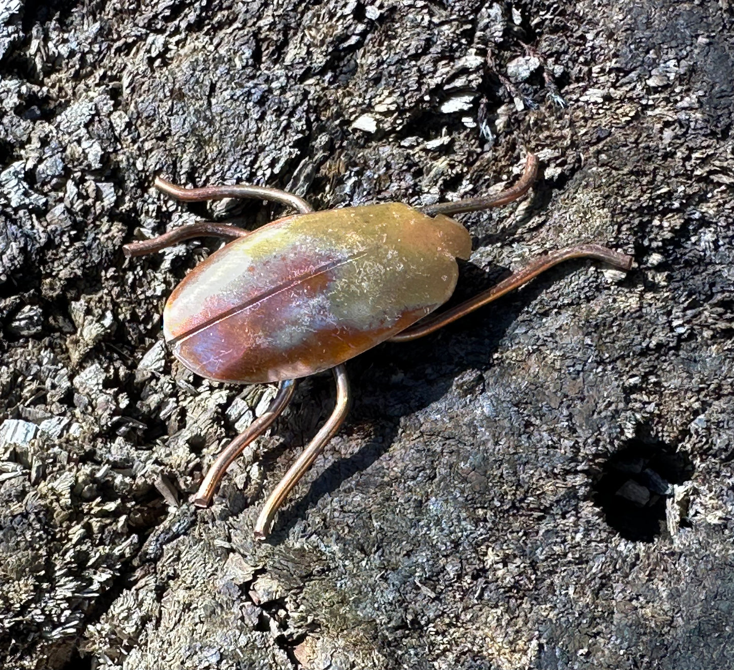 Copper Bugs and Beetles