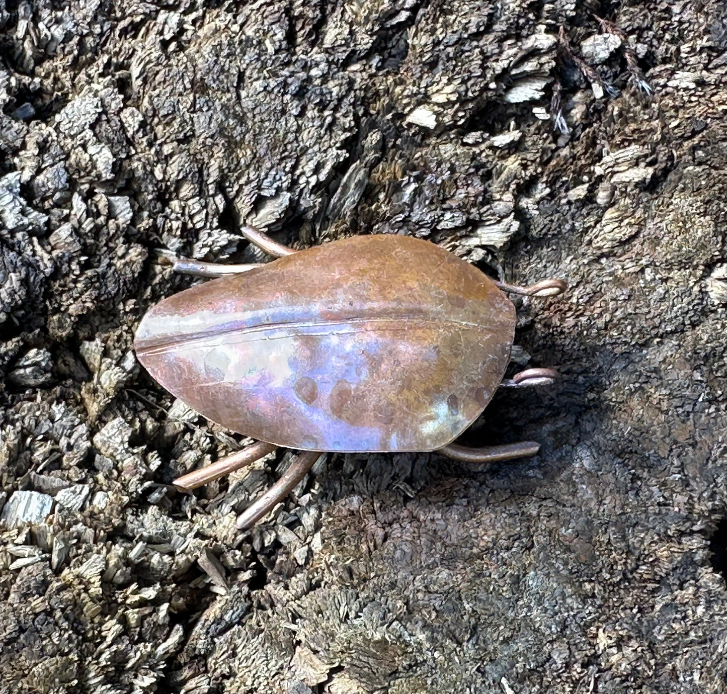 Copper Bugs and Beetles