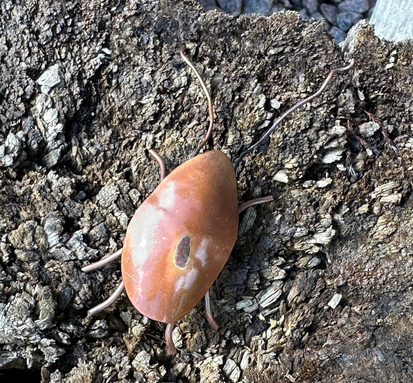 Copper Bugs and Beetles