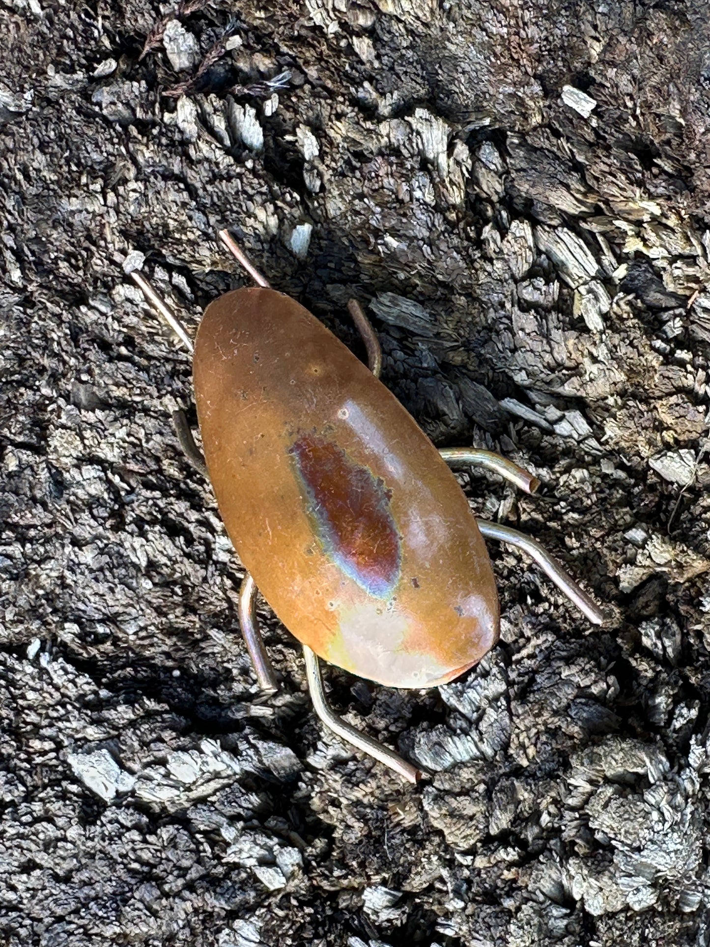 Copper Bugs and Beetles