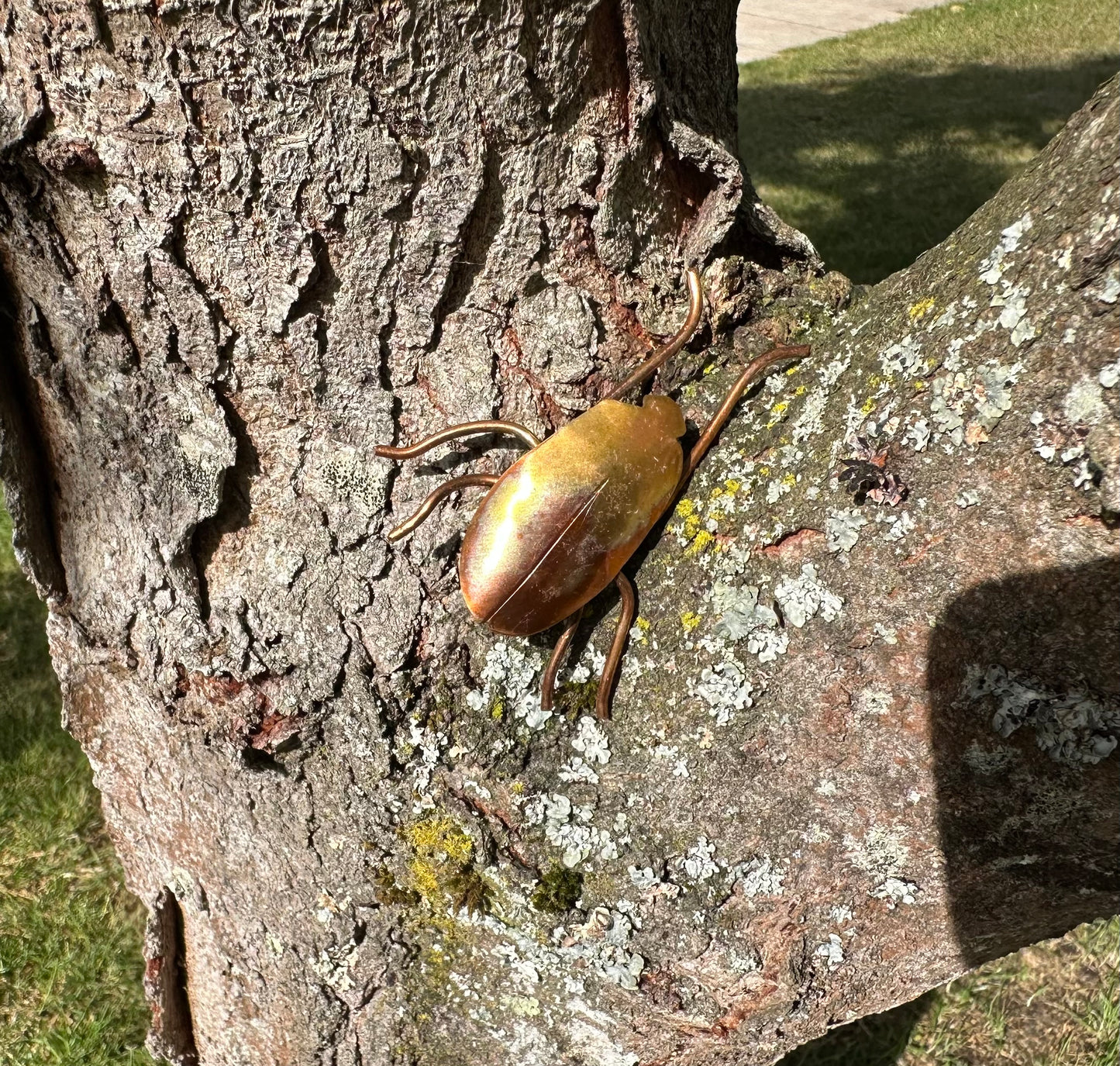 Copper Bugs and Beetles