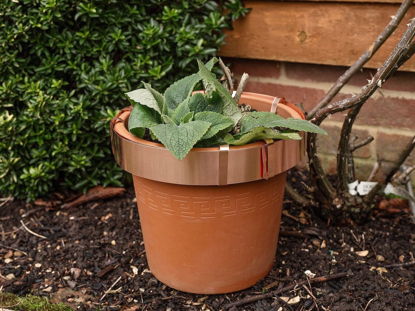 Copper Pot Ring - Large