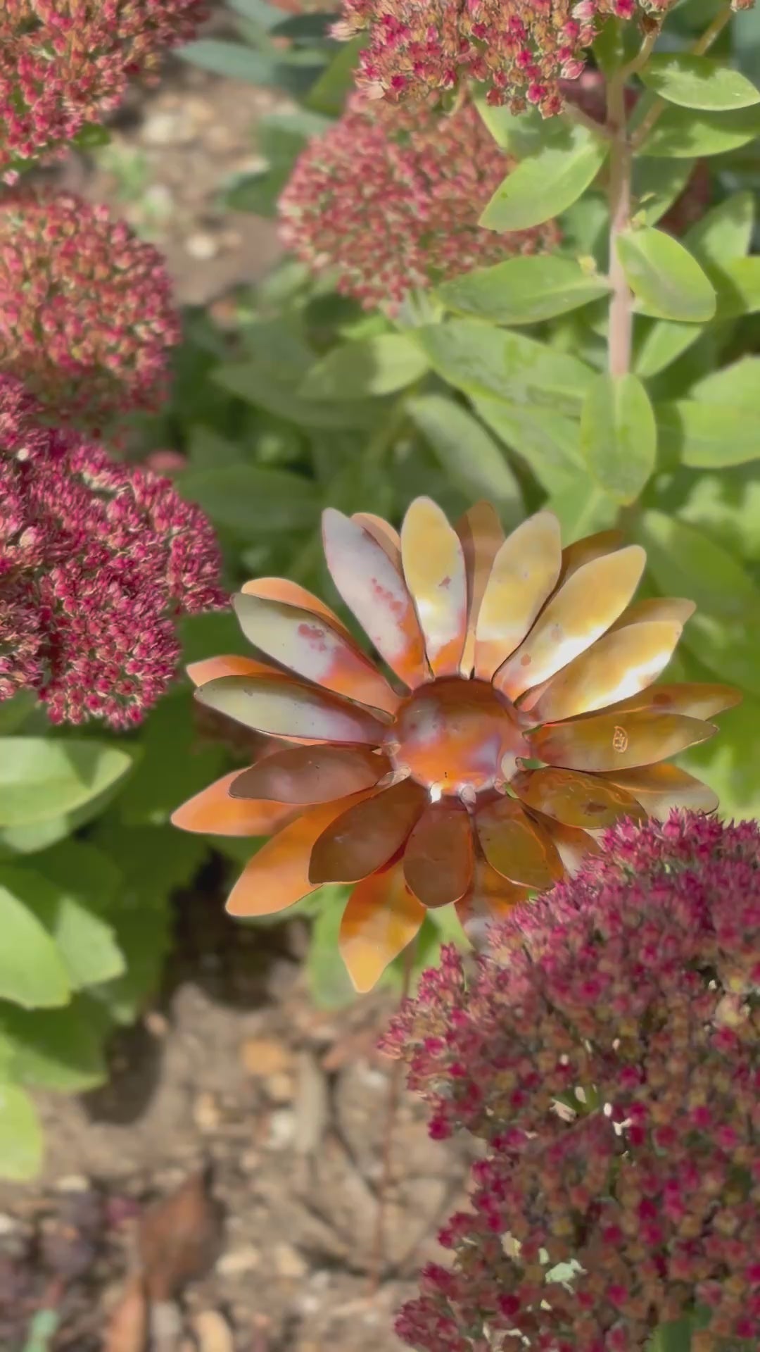 Copper and Green Gerbera