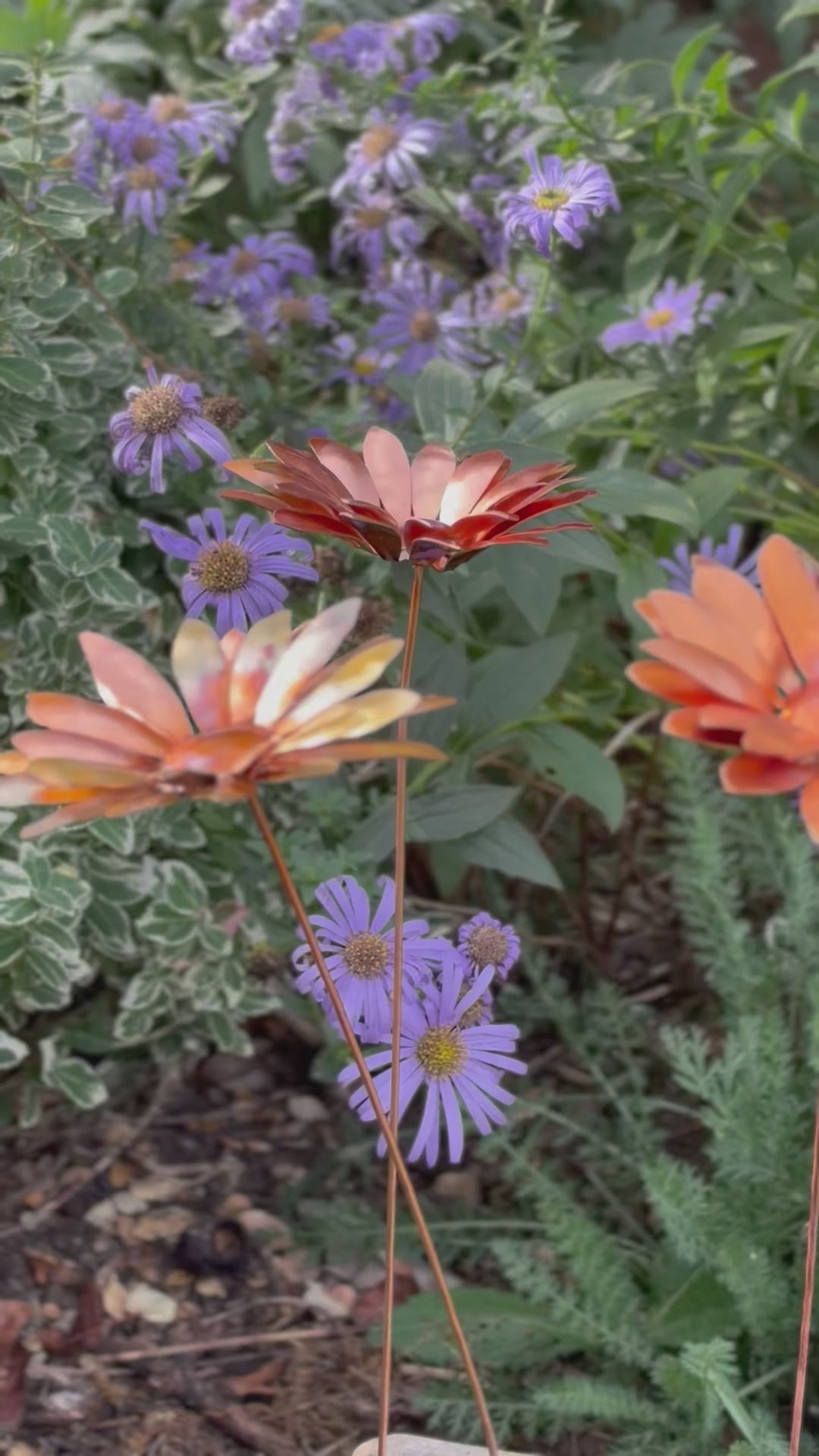 Copper and Green Gerbera